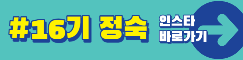 나는 솔로 16기 인스타