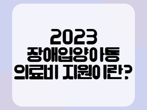 2023 장애입양아동 의료비 지원