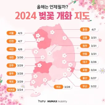 벚꽃 개화시기 2025 만개시기 히든스팟_11