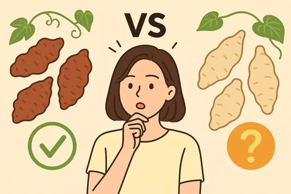 적하수오 백하수오 차이와 효능 비교13