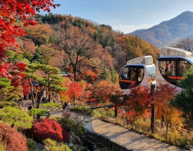 11월 단풍축제 가볼만한곳 BEST 10