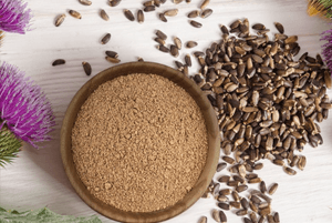 밀크씨슬 효과05