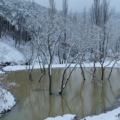 대구 군위 사유원 관람 예약
