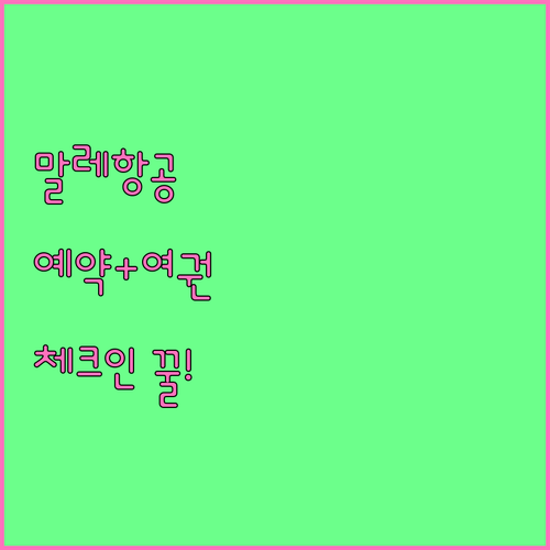 말레이시아 항공 예약번호와 여권으로 ..