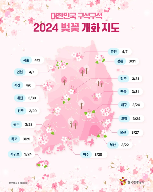 벚꽃 개화시기 2024