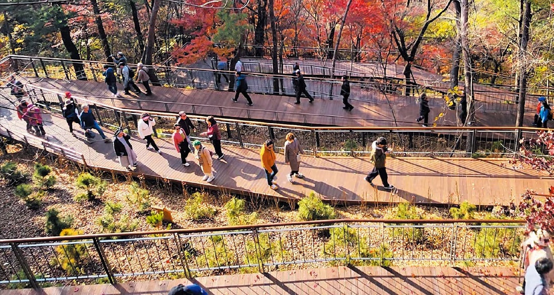 남산 하늘숲길 무장애길