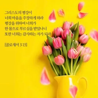 골로새서 2장 7절 묵상 - 그 안에 뿌리를 박으며 세움을 받아 교훈을 받은 대로 믿음에 굳게 서서_23