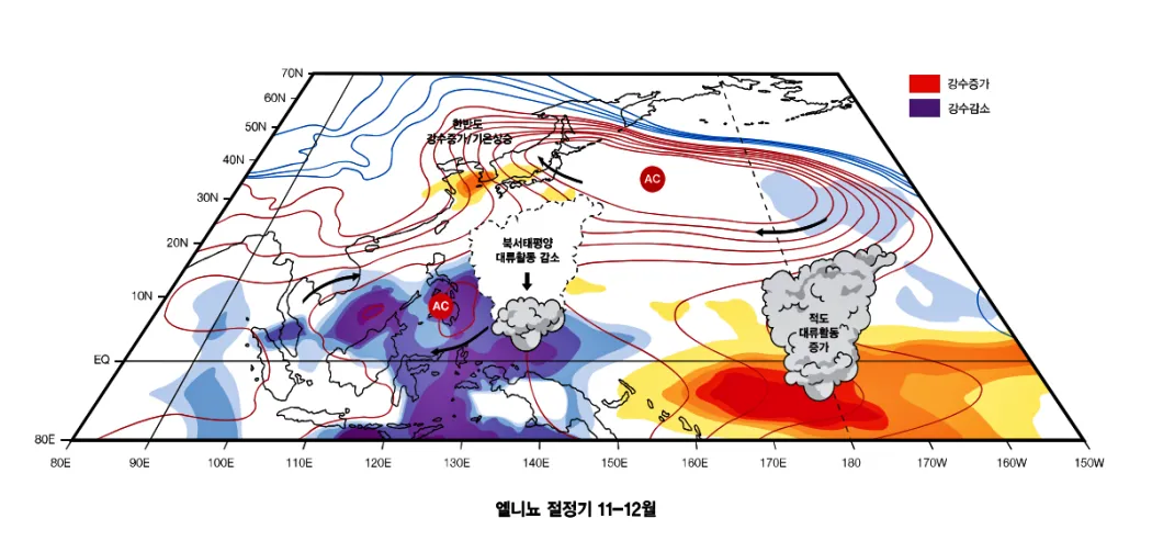 한반도 주변 엘니뇨 절정기 (11월-12월)