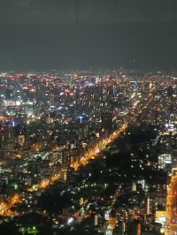오사카 여행지 추천 하루카스 300 전망대