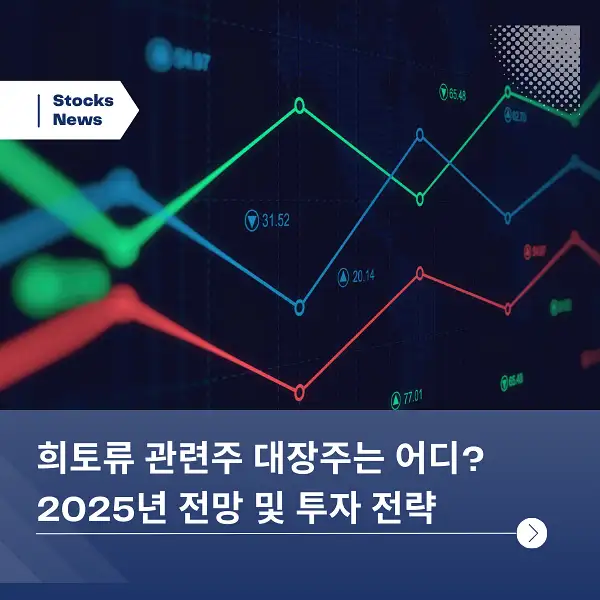 희토류 관련주 대장주