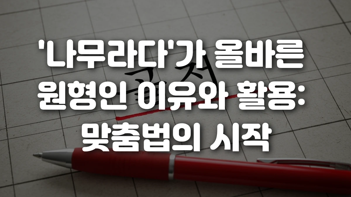 나무라다 가 올바른 원형인 이유와 활용 맞춤법의 시작