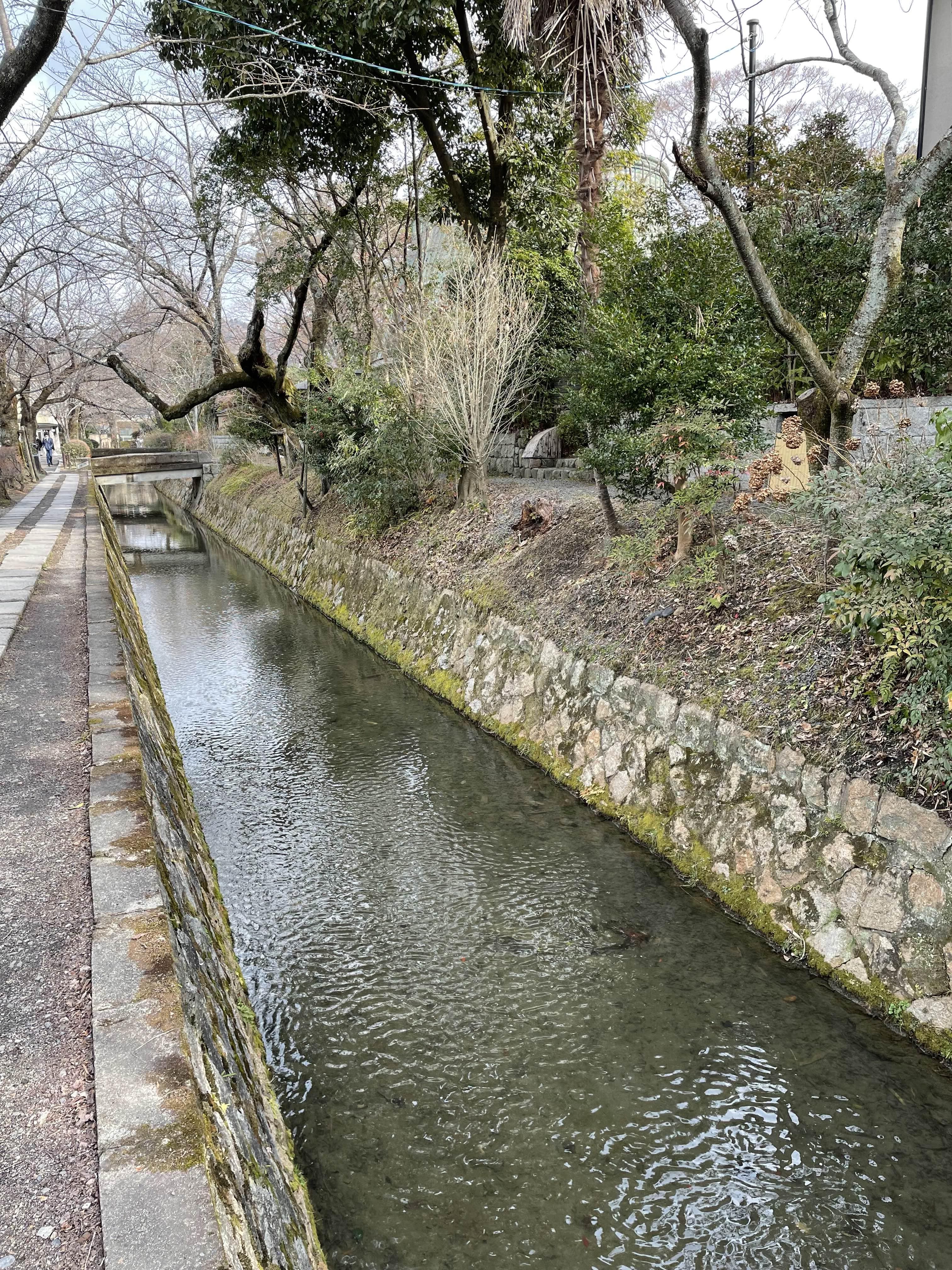 교토역 2박 3일 코스 2일차 철학의 길