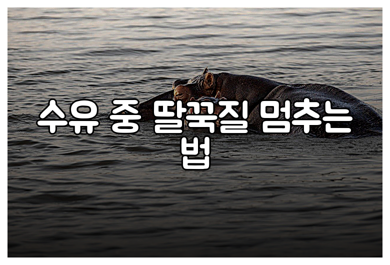 수유 중 딸꾹질 멈추는 법