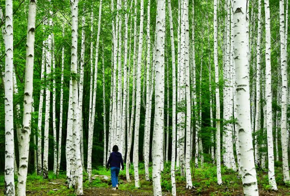 필수아미노산부터 탄수화물·단백질까지, 꼭 알아야 할 3대 영양소의 모든 것