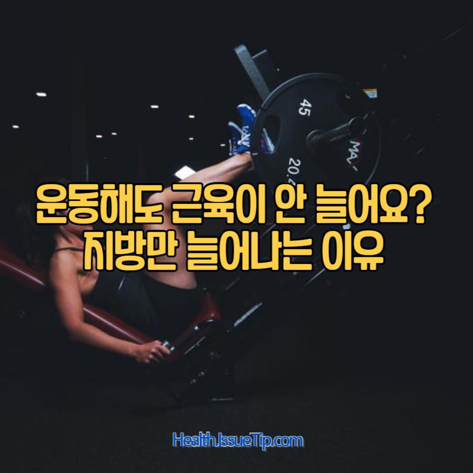 근육 대신 지방이 늘어나는 이유와 해결책