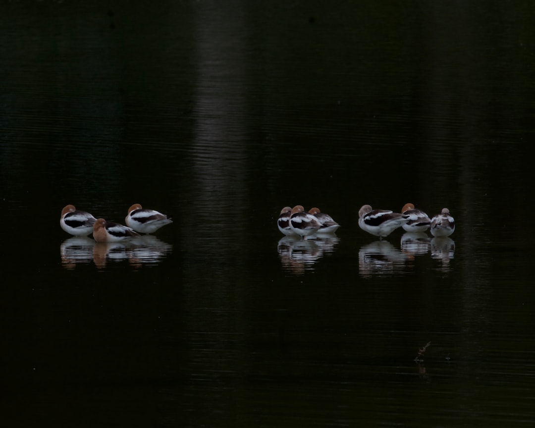 Sequence