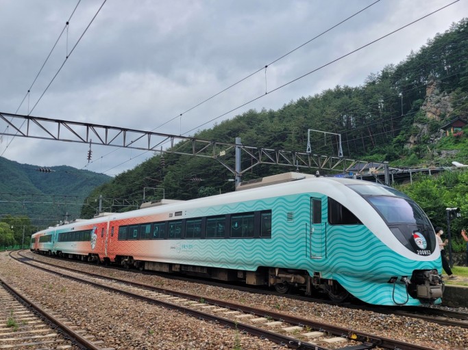 숙박세일페스타