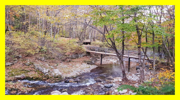 국립자연휴양림 추첨결과&amp;#44; 자연휴양림 예약 꿀팁&amp;#44; 국립휴양림 무작위 추첨&amp;#44; 자연휴양림 성수기 객실&amp;#44; 자연휴양림 예약주의사항&amp;#44; 국립자연휴양림 1박2일&amp;#44;