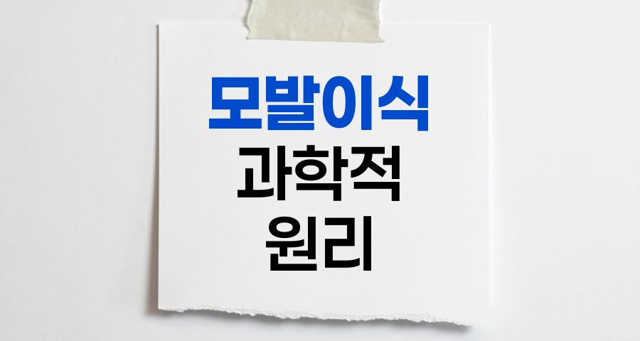 모발이식의 과학적 원리와 핵심 기술