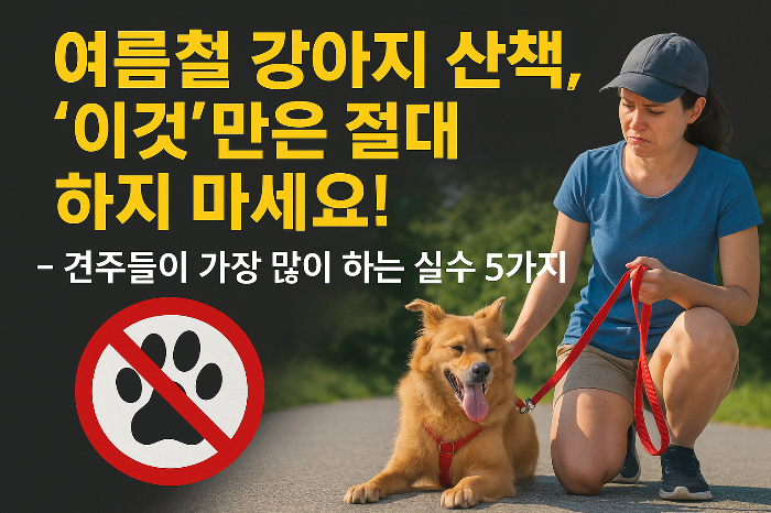 여름철 강아지 산책 주의사항
