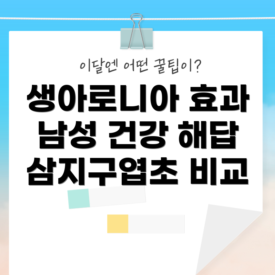 남성 건강 향상 약초