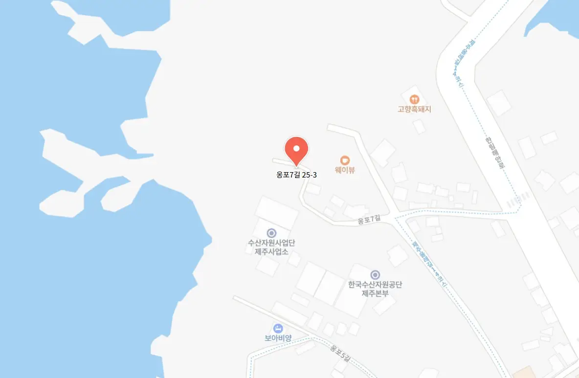 웨이뷰 코스모스 축제