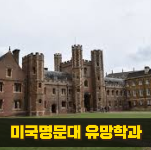 AI시대 유망 학과