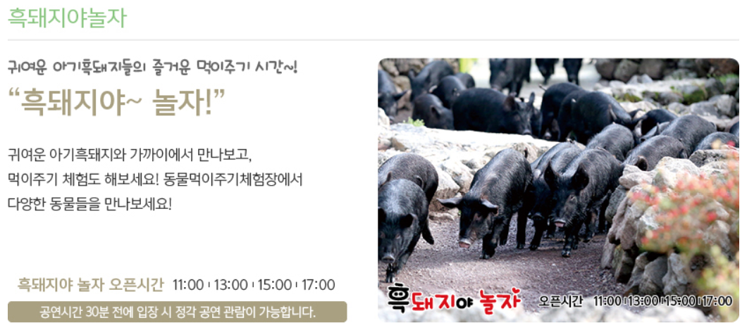 흑돼지야놀자