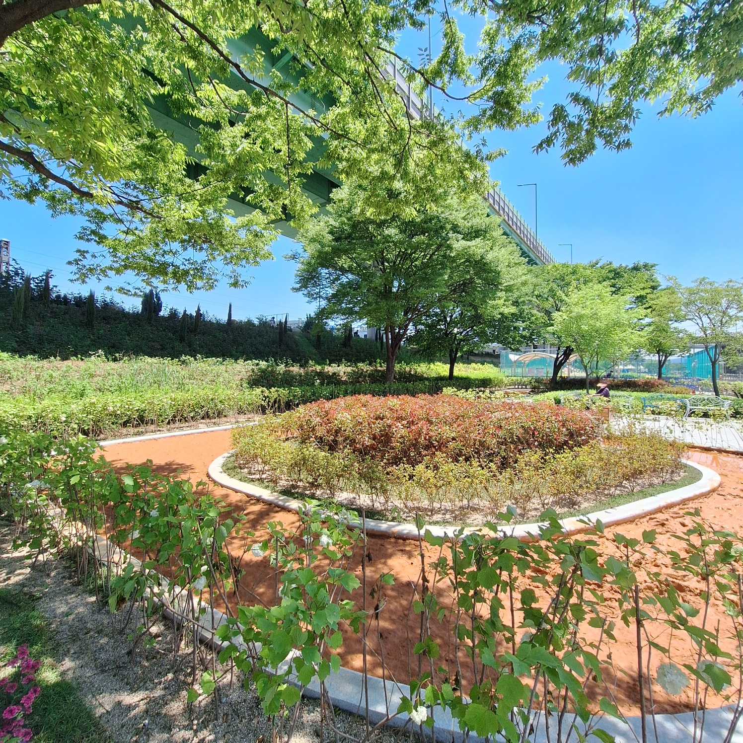 서울 둘레길 13코스 참여 후기