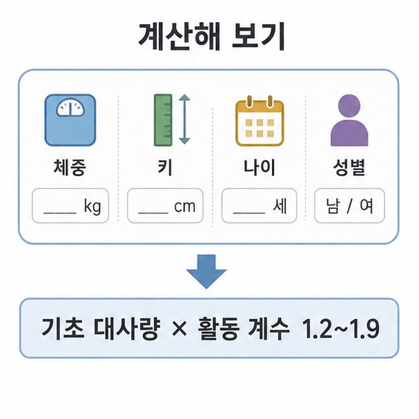 기초 대사량 계산 도해, 체중과 키, 나이, 성별을 넣어 활동 계수를 곱하는 과정을 나타낸 카드