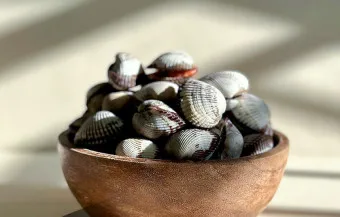 꼬막 무침 맛있게 삶는법_22