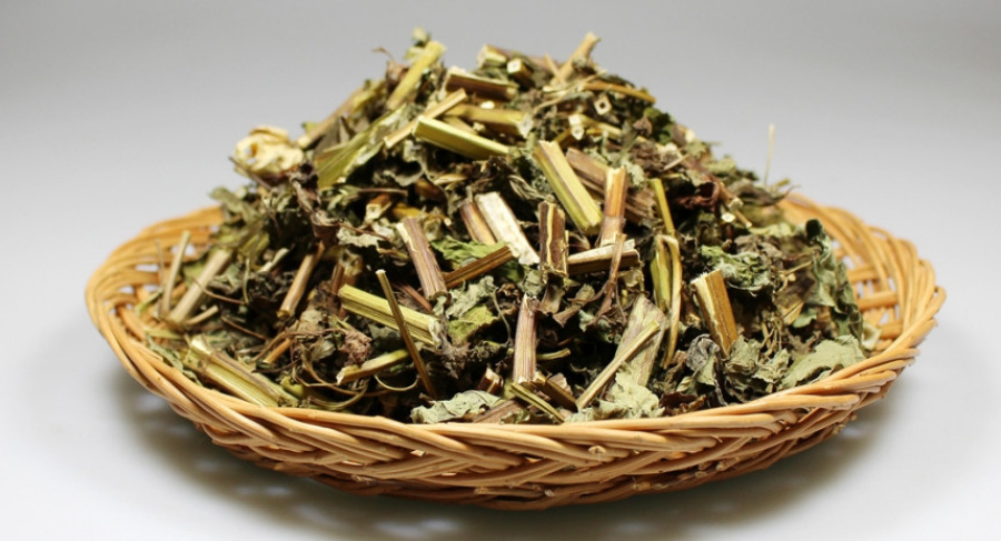 야생에서 채취를 한 곽향을 깨끗하게 세척하고 건조시킨 것을 흰색 바닥 위에 대나무로 만든 바구니 위에 수북하게 놓아두고 찍은 사진