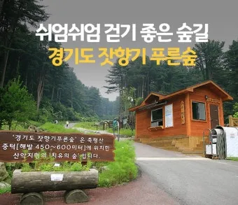 걷기 좋은 명품 숲길 50선 전국 서울 경기_15