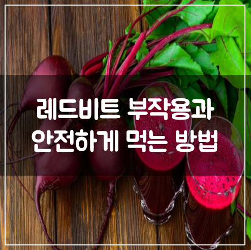 비트 먹는 법