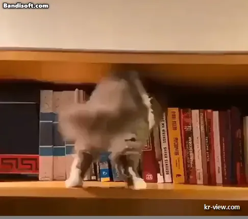 img.webp?credential=yqXZFxpELC7KVnFOS48ylbz2pIh7yKj8&expires=1767193199&allow_ip=&allow_referer=&signature=q66MAaJ3ulfyYmkAqbV3AdPMl4A%3D