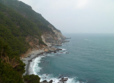 부산 태종대 수국축제