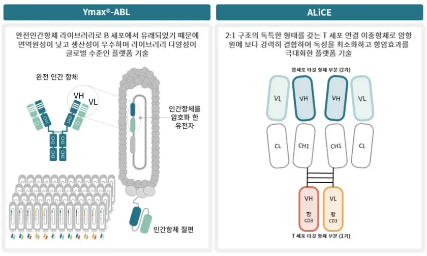 와이바이오로직스 공모주
