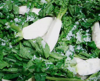 김장 알타리김치 맛있게 담그는 방법