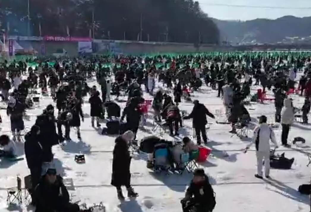 2025 화천산천어축제 예약하기