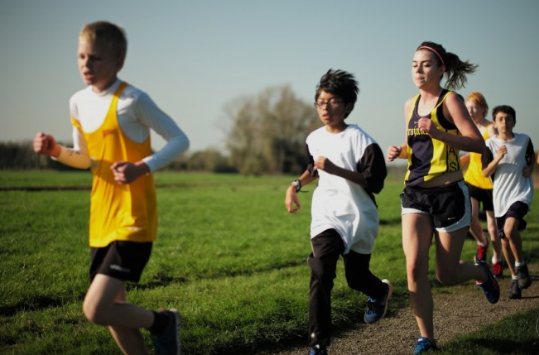 운동을 해야하는 이유