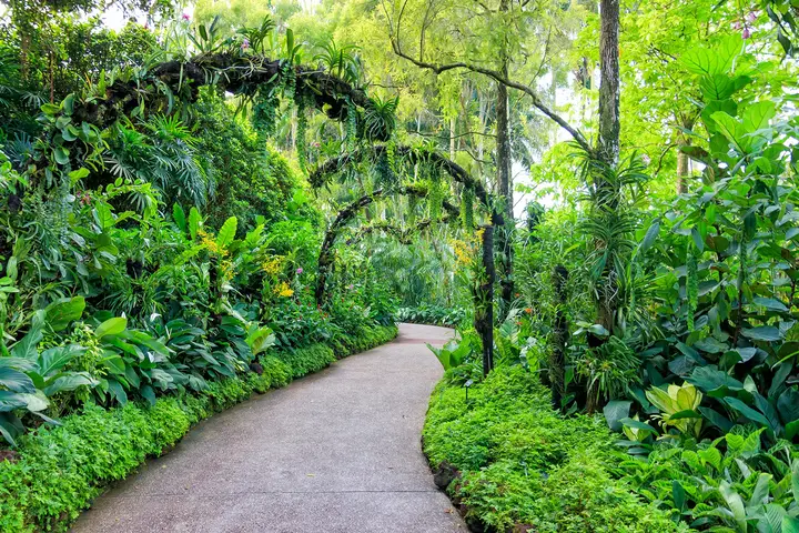 부킷티마자연보호구역