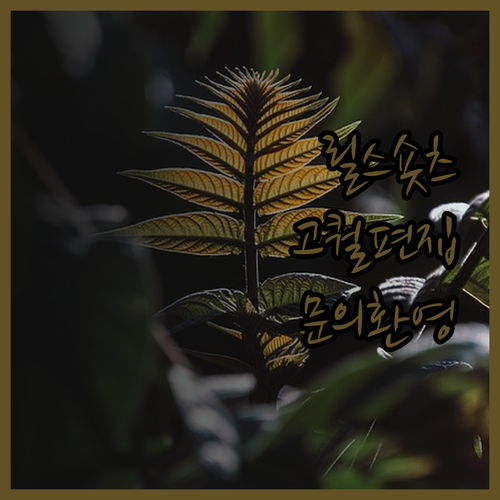 고퀄리티 릴스, 숏츠 영상, 빠른 편