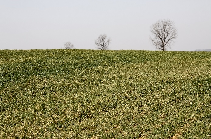 2025년 4월 넷째 주 주일예배 대표기도문