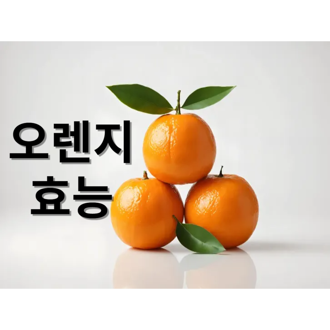 2월 제철음식 오렌지 알아보기