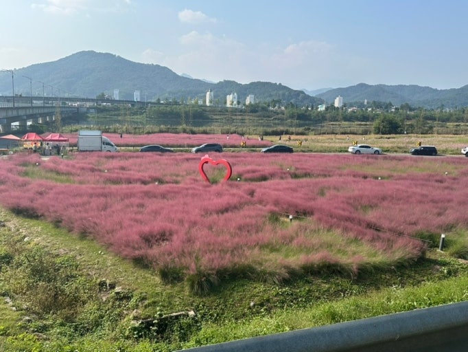 고령 가볼만한곳 베스트10
