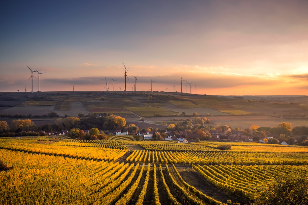 Renewable