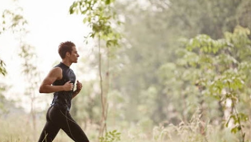 중성지방 낮추는 음식