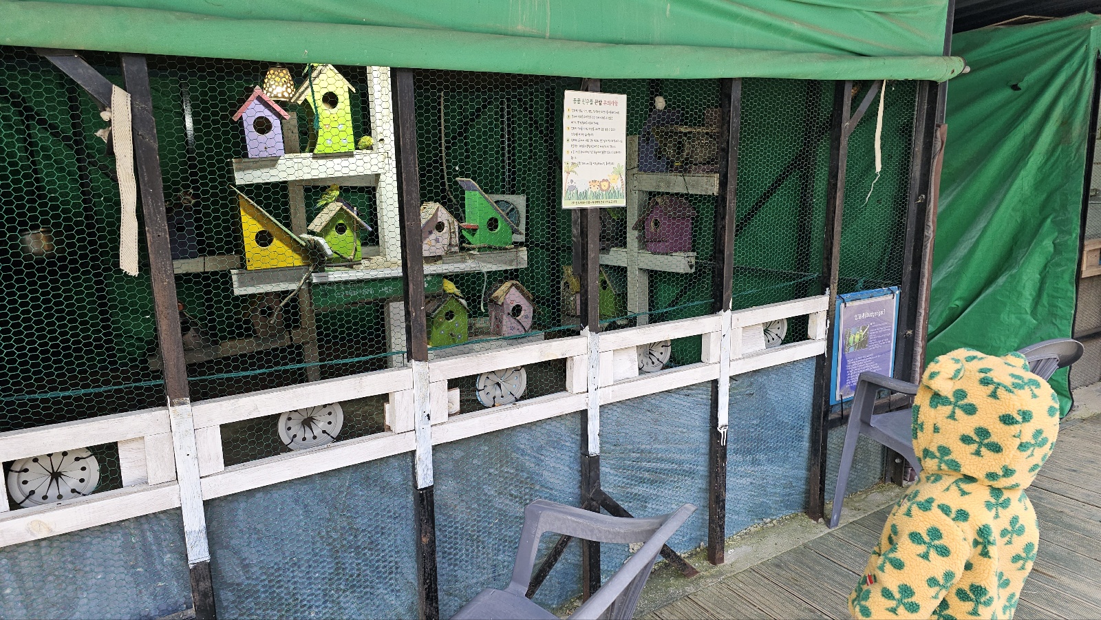 [24.11월] 아이와 평창 #1 - 모나 용평리조트 애니포레🏔️