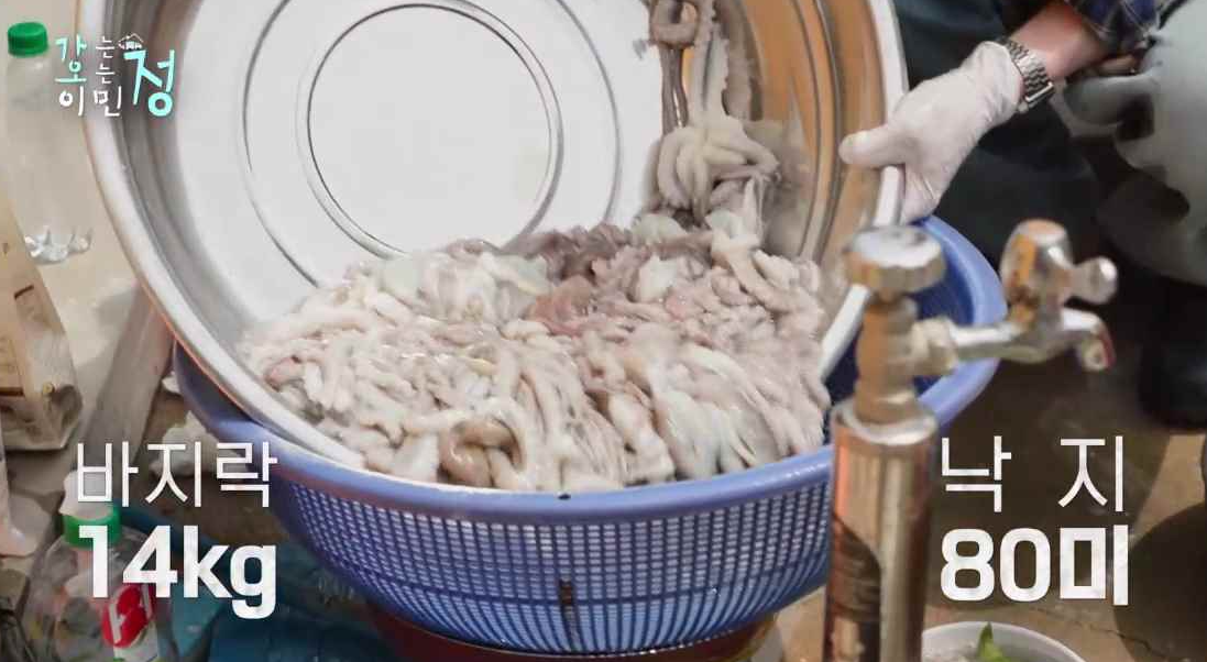 파란 소쿠리에 낙지가 담겨 있고 뜨거운 물을 붇는 장면에 바지막 14kg 낙지 80마리 자막이 있는 스틸컷