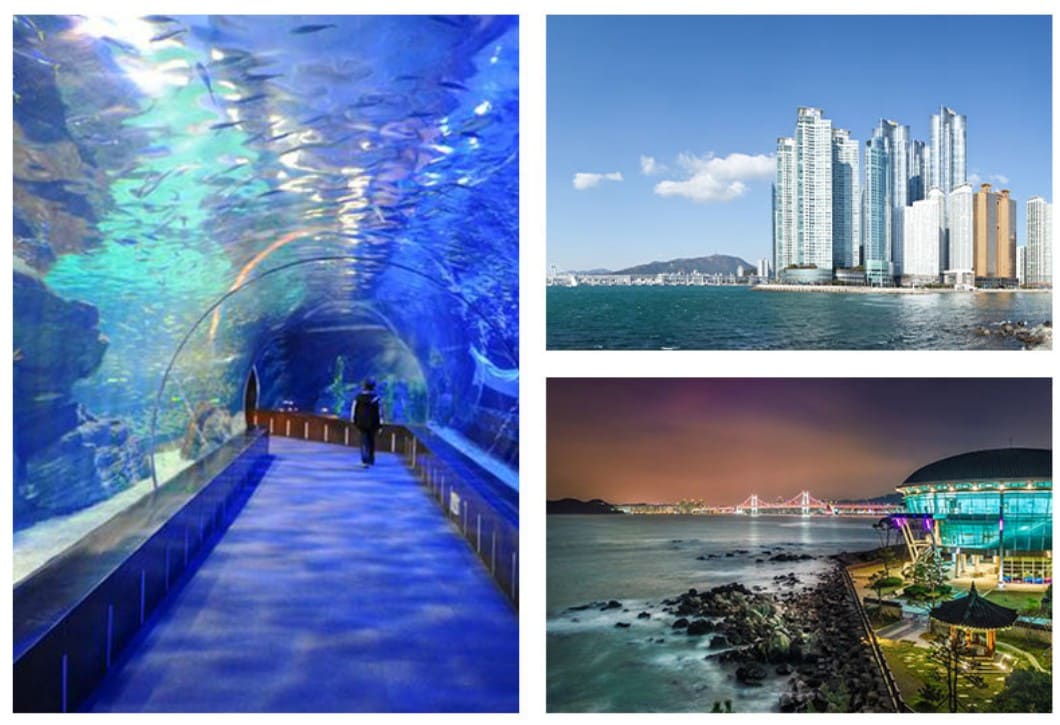 국내기차여행 해랑